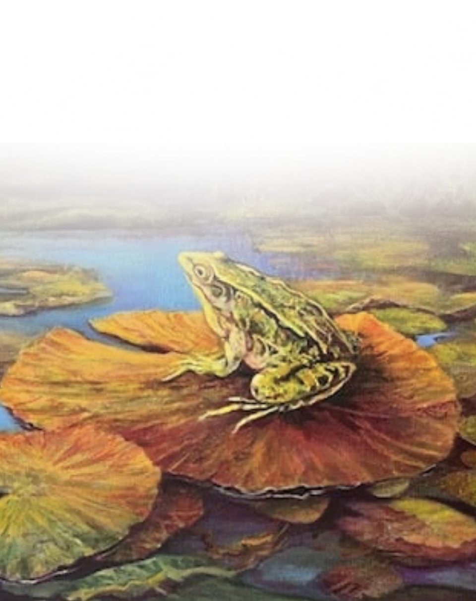 NOAA 69th Juried Exhibition