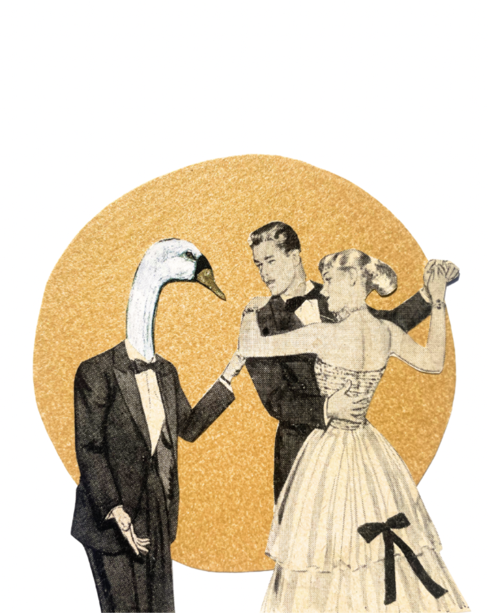 'Rock, Paper, Scissors' Solo Exhibition by Annabelle Harvey